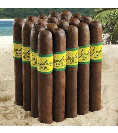Bahia Brazil Gordo (6.0"x60) Pack of 20