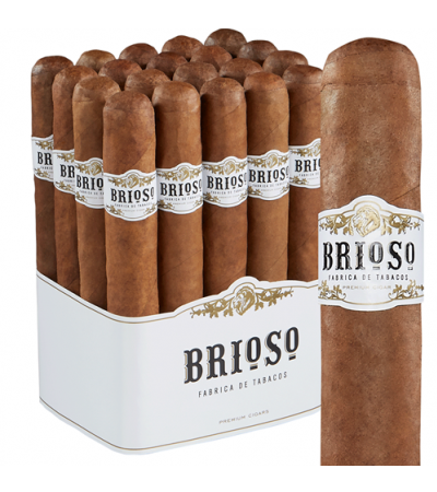 Brioso Bundles Gordo (6.0"x60) Pack of 20