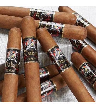 Gurkha Dakar Churchill (7.0"x52) Pack of 10