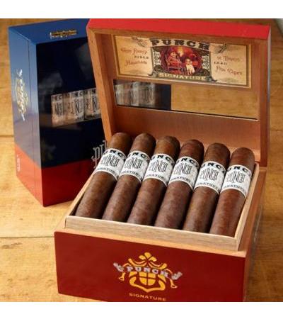 Punch Signature Gordo (6.0"x60) Box of 18