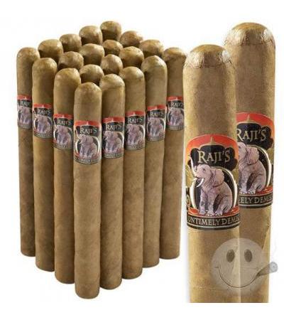 Raji's Untimely Demise Churchill (7.0"x50) Pack of 20