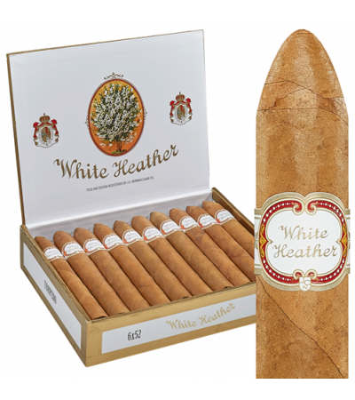 White Heather by JC Newman Churchill (7.0"x48) Box of 20