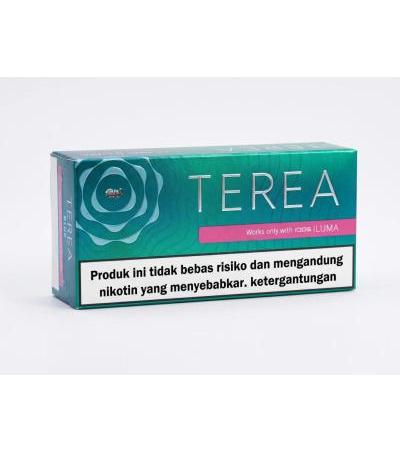 TEREA Black Green Indonesia Heated Tobacco Sticks 5 Carton